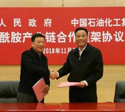 定了！湖南省與中國石化簽署《關于中國石化巴陵石化公司己內酰胺產業鏈搬遷與升級轉型發展合作框架協議》